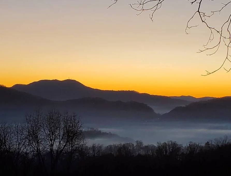 Home 2 download 79 1